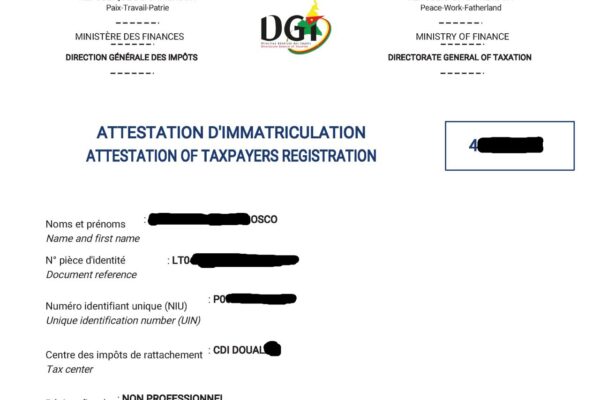 Création de votre Immatriculation en ligne (NIU)