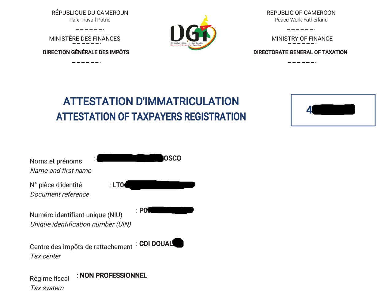 Création de votre Immatriculation en ligne (NIU)
