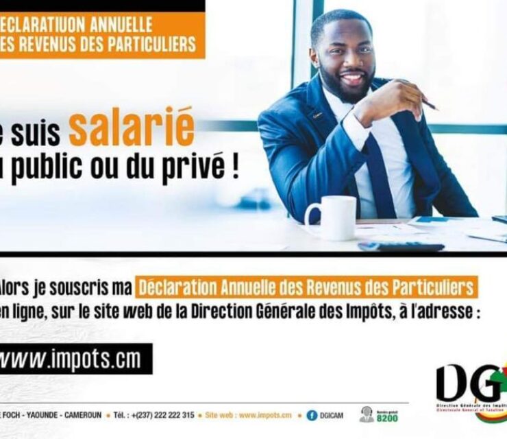 Guide d’utilisateur déclaration annuelle des particuliers au Cameroun