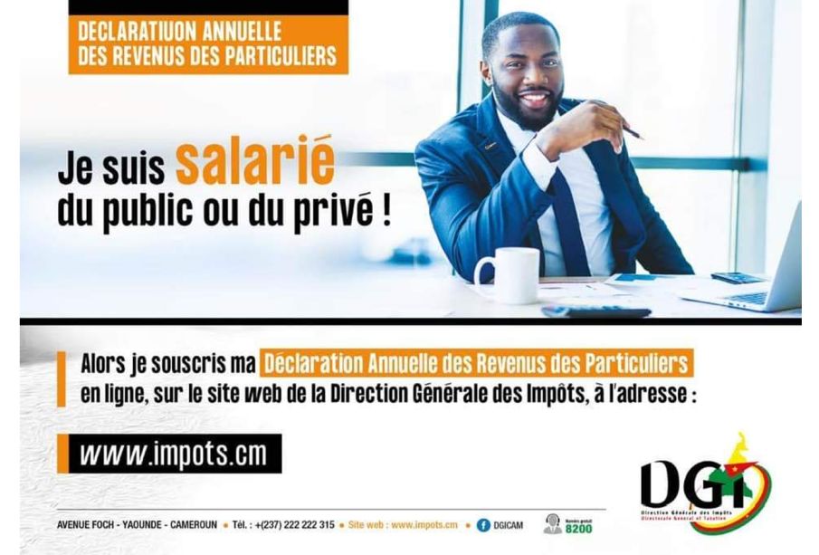 Guide d'utilisateur déclaration annuelle des particuliers au Cameroun