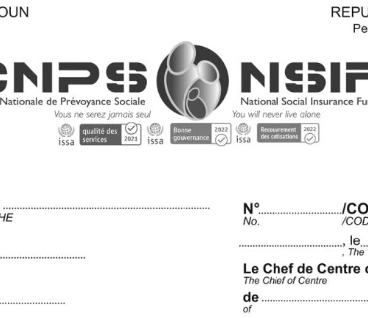 Document d’Information d’un assuré volontaire (DIAV)