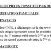 Guide d’utilisateur déclaration annuelle des particuliers au Cameroun