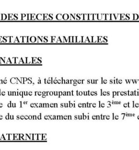 Demande de pension, CNPS Cameroun, PDF